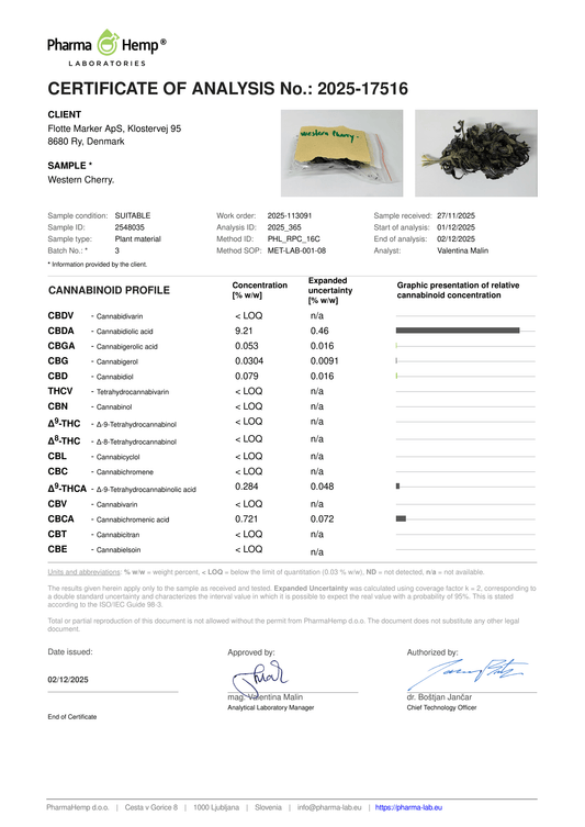 Western Blackberry CBD 9,21%