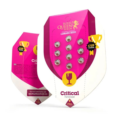 Royal Queen - Critical seeds