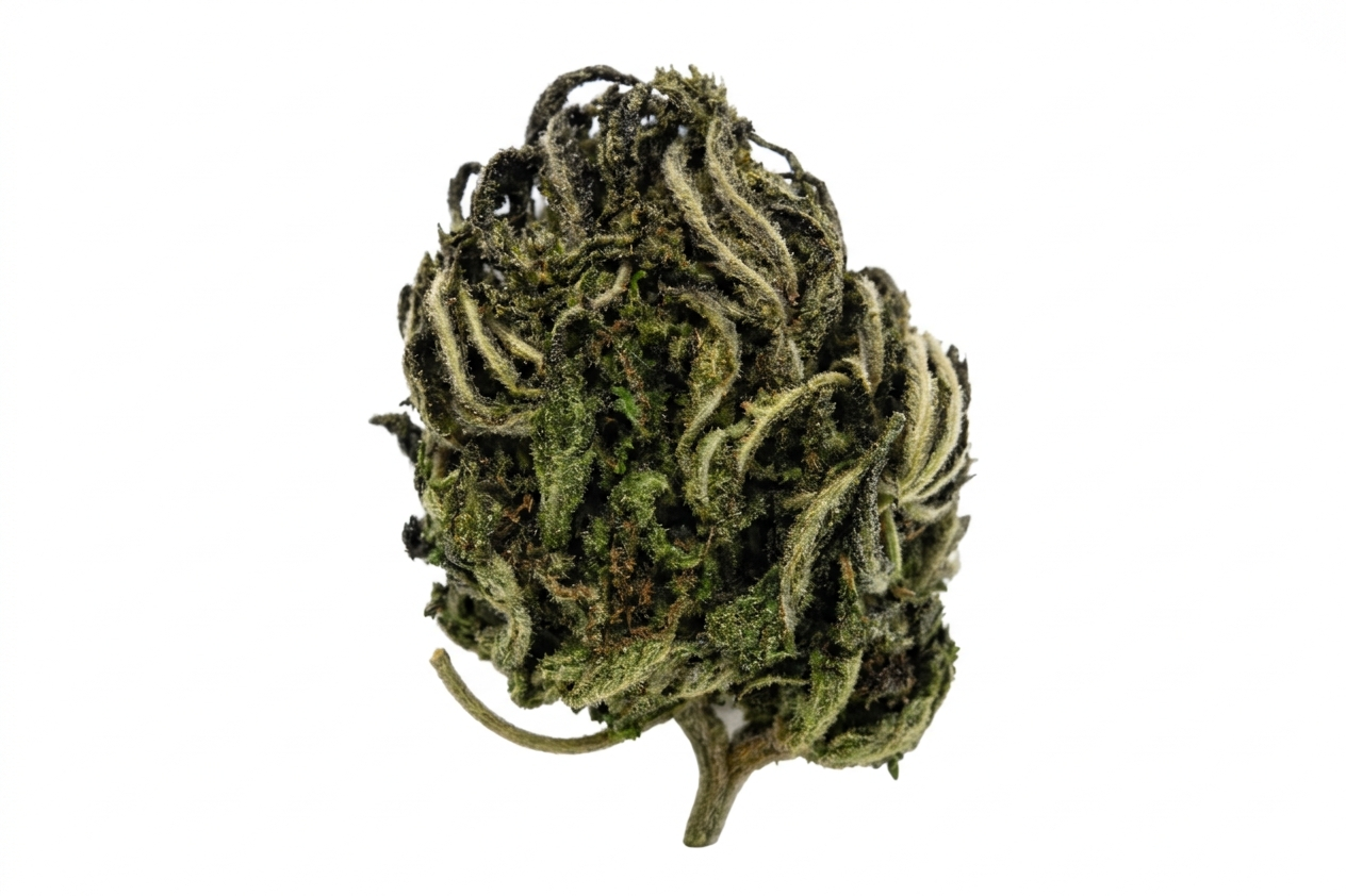 Hempmarken - Jydehash CBD 18.4%