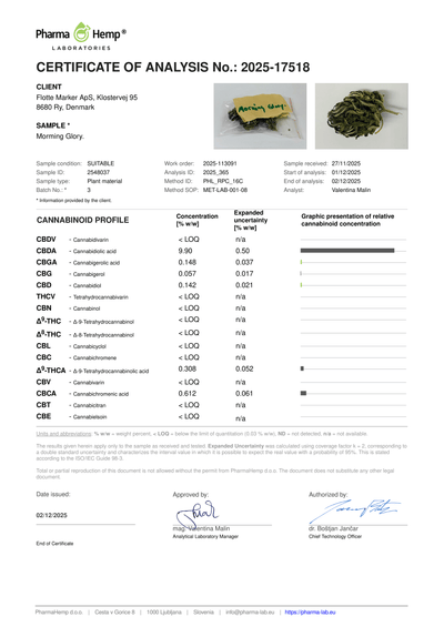 Morning Glory CBD 9,90%