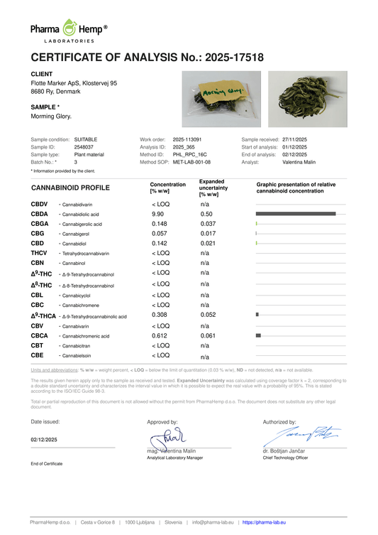Morning Glory CBD 9,90%